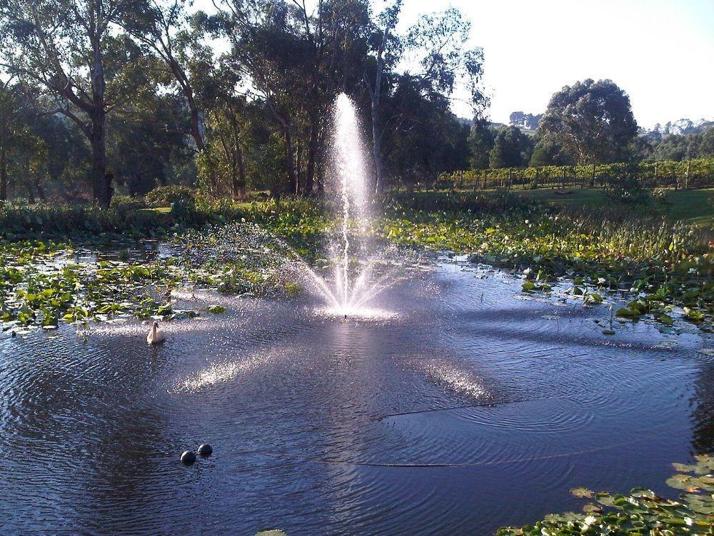 Wild Cattle Creek Estate Bed and Breakfast Wandin Yallock Esterno foto